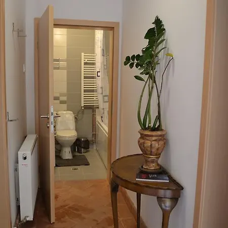 Studio Metaxa Apartament Braszów